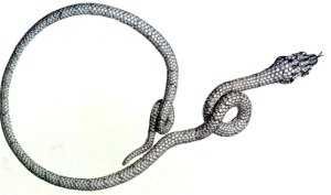 Serpent Neck